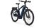 Kalkhoff Entice 5 Advance + Belt - 800 Wh - 29 Zoll - Diamant - 2026