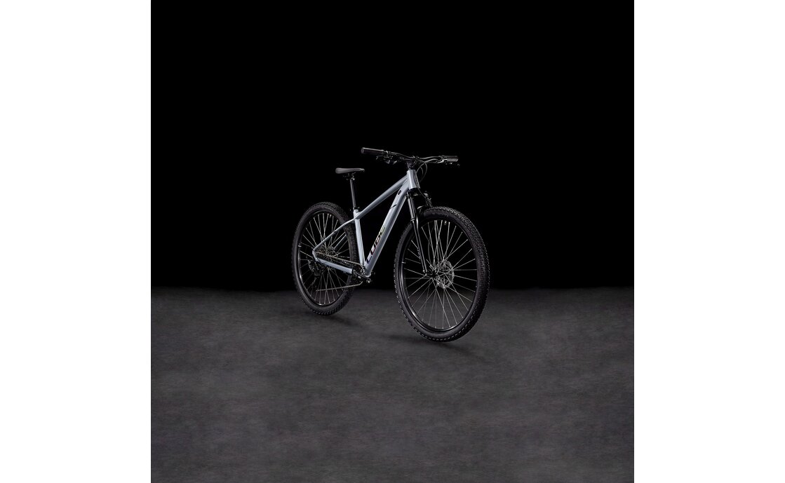 Cube Aim Race - 29 Zoll - Diamant - 2025
