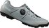 ice gray