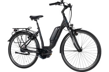 Gudereit - E-Bike-Pedelec - Gudereit EC-3 - 400 Wh - 2021 - 28 Zoll - Tiefeinsteiger