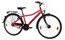 Bellini Carlo 7 - 26 Zoll - Diamant - 2024