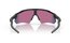 Oakley Radar EV Path Matte Black/Prizm Road