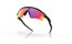 Oakley Radar EV Path Matte Black/Prizm Road