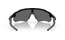 Oakley Radar EV Path Polished Black/Prizm Black