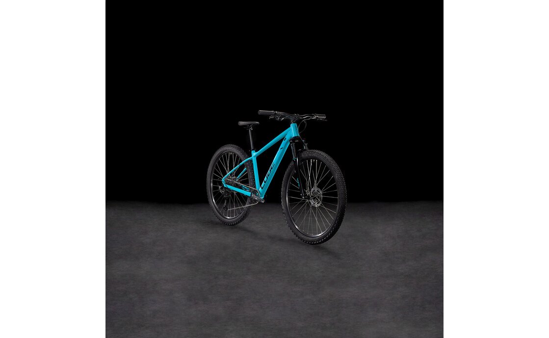 Cube Aim Race - 29 Zoll - Diamant - 2025