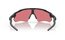 Oakley Radar EV Path Matte Black - Prizm Trail Torch