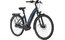 Carver Cityzen E.440 FL - 500 Wh - 28 Zoll - Tiefeinsteiger - 2025
