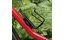 KLICKfix by Rixen&Kaul FindMe Halterung Apple Air Tag