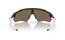 Oakley Radar EV Path Carbon - Prizm Rose Gold