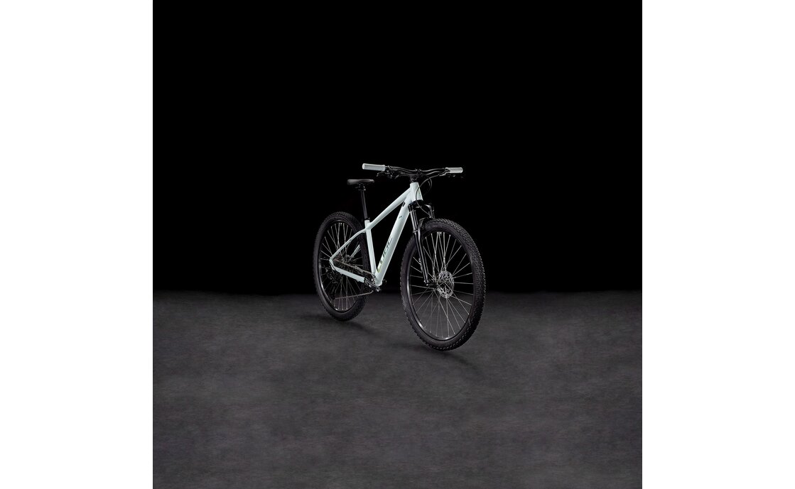 Cube Aim Race - 29 Zoll - Diamant - 2025