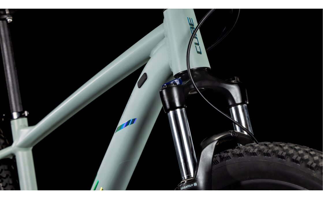 Cube Aim Race - 29 Zoll - Diamant - 2025