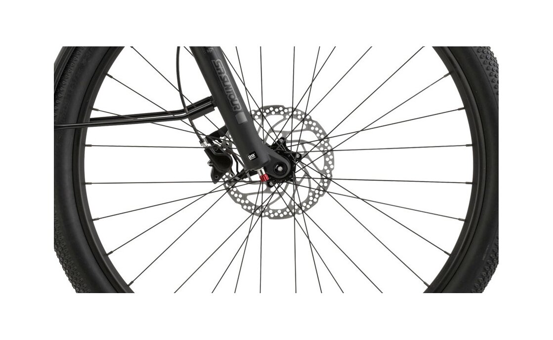 Cannondale Tesoro Neo X 2 Remixte - 625 Wh - 29 Zoll - Damen Sport - 2024