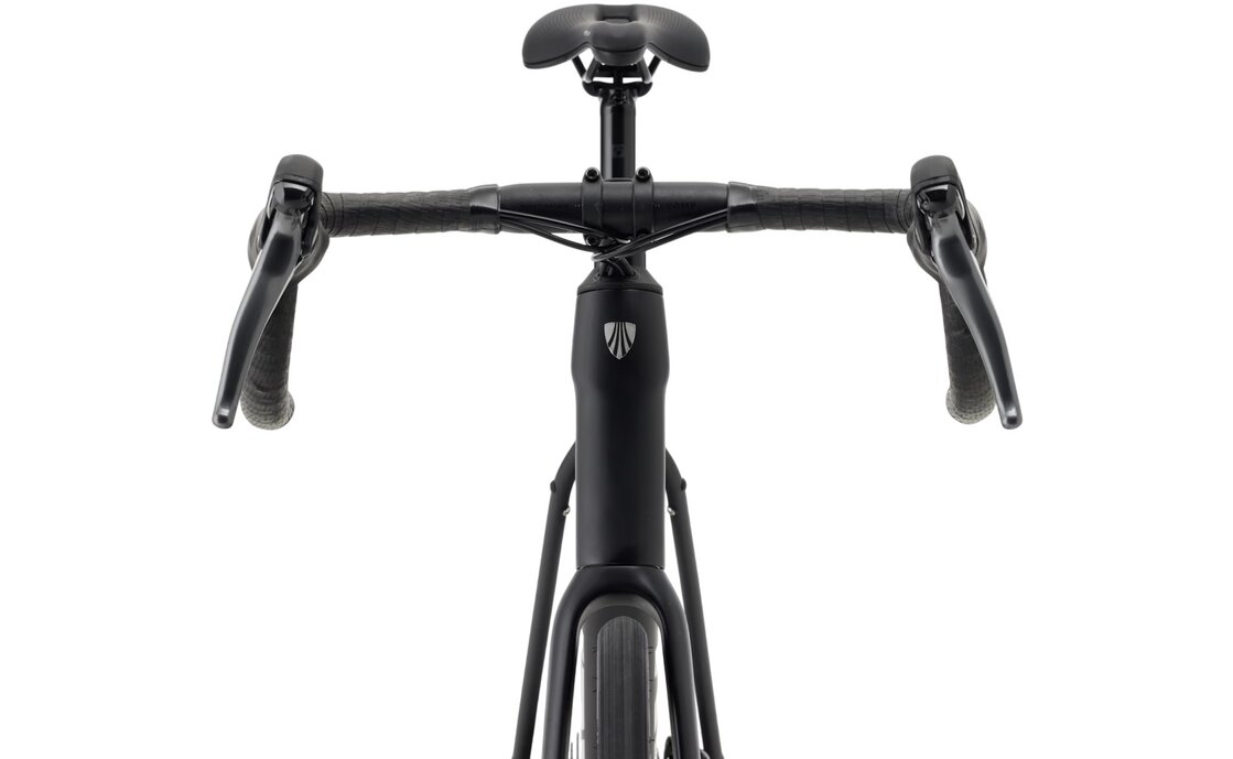 Trek Domane AL 2 Gen 4 - 28 Zoll - Diamant - 2027