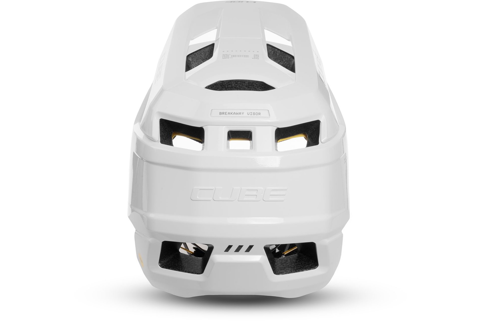 Cube Helm DESCENDER X Actionteam MIPS