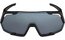 Alpina Rocket all black matt / black mirror lens