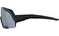Alpina Rocket all black matt / black mirror lens