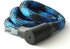 morphoblau