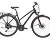 Carver Route CPS - 2018 - 28 Zoll - Damen Sport