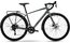 Felt Broam 60 EQ - 28 Zoll - Diamant - 2023