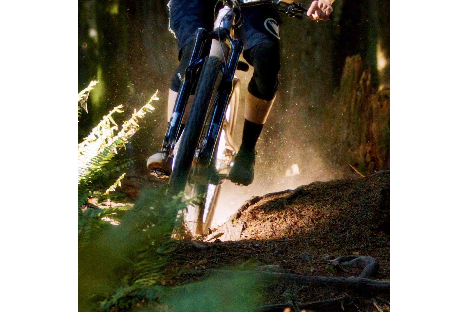 Wolftooth CTRL Trail Klick-Pedale