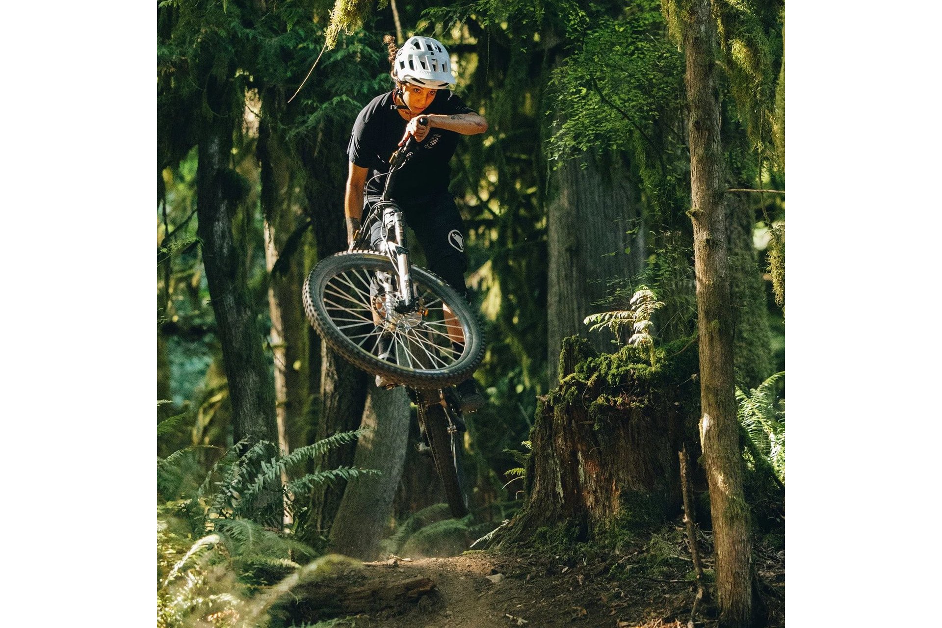 Wolftooth CTRL Trail Klick-Pedale