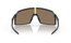 Oakley Sutro Matte Carbon/Prizm 24k