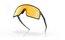 Oakley Sutro Matte Carbon/Prizm 24k