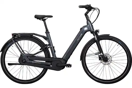 Bosch - E-Bike City - Kettler Quadriga P5 HD Benelux Belt RT - 625 Wh - 28 Zoll - Tiefeinsteiger