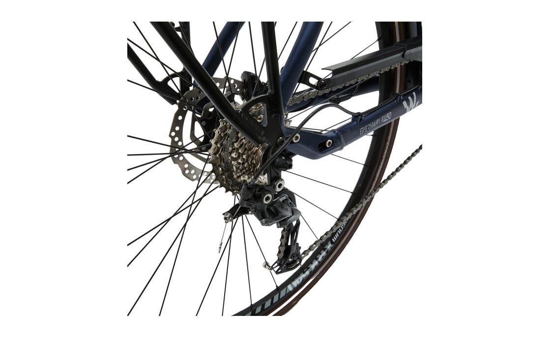 Wayscral Everyway E450 - 396 Wh - 28 Zoll - Tiefeinsteiger