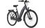 Carver Cityzen E.420 RT - 500 Wh - 28 Zoll - Tiefeinsteiger - 2025