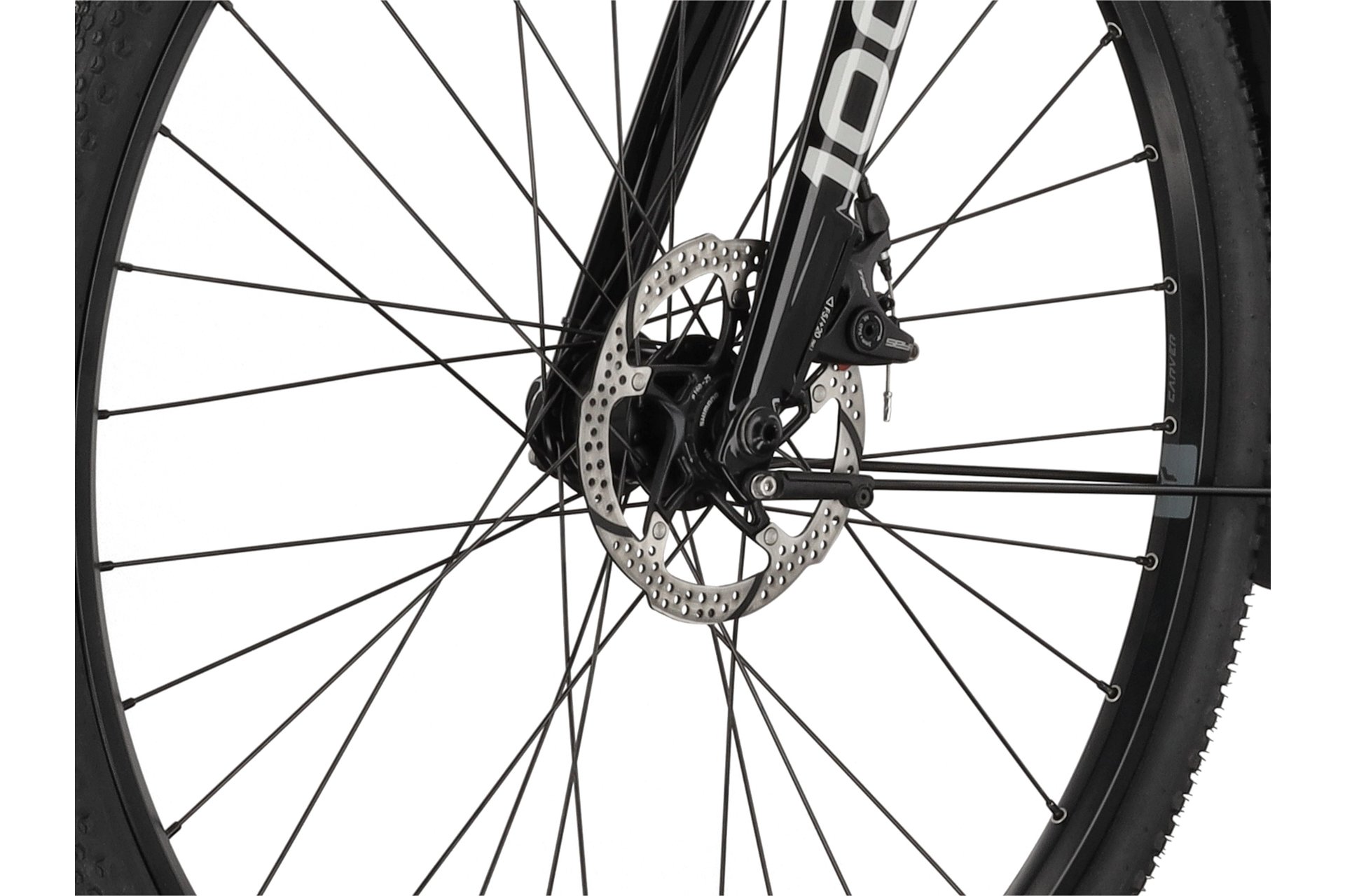 Carver Gravel 100 Street - 28 Zoll - Diamant - 2024