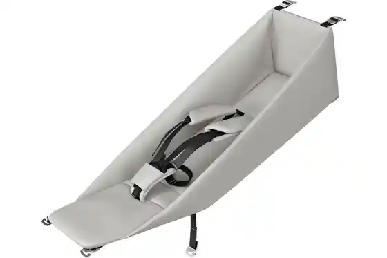 Thule - Fahrradanhänger - Thule Infant Sling2 EU Chariot