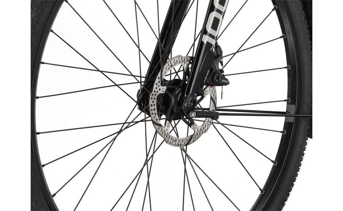 Carver Gravel 100 Street - 28 Zoll - Diamant - 2024