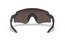 Oakley Encoder Matte Carbon - Prizm 24K