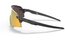 Oakley Encoder Matte Carbon - Prizm 24K