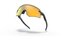 Oakley Encoder Matte Carbon - Prizm 24K