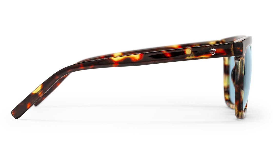 CHPO Bruce Turtle Brown - Light Blue
