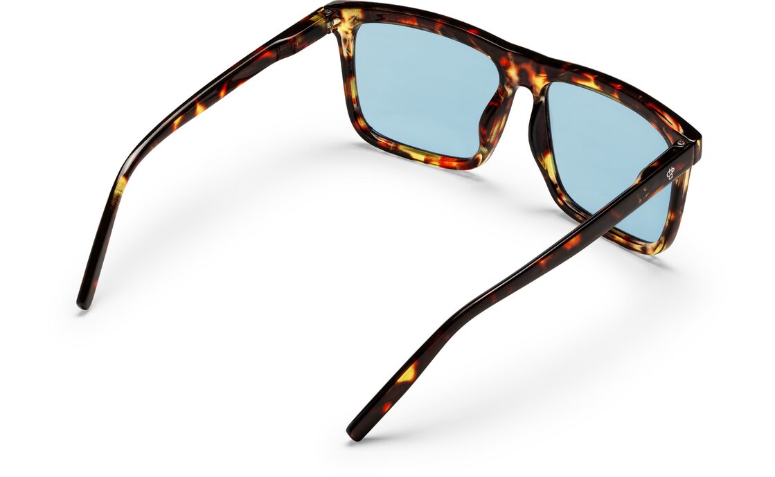 CHPO Bruce Turtle Brown - Light Blue