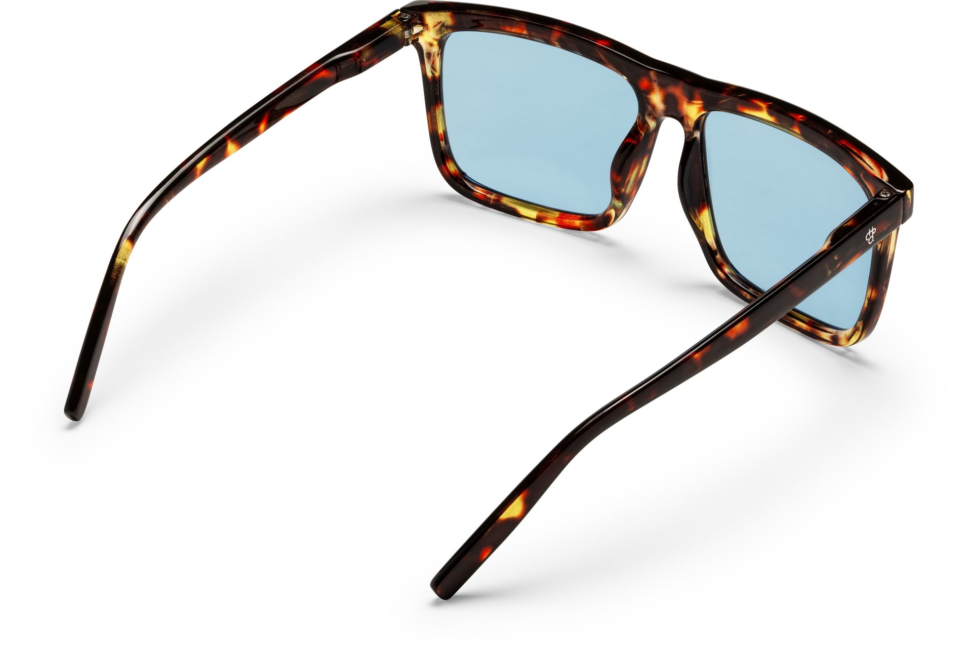 CHPO Bruce Turtle Brown - Light Blue