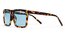 CHPO Bruce Turtle Brown - Light Blue