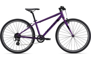 Giant - Herren - Mountainbikes - Giant ARX 26 - 2022 - 26 Zoll - Diamant