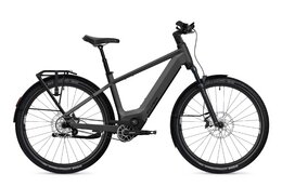 Flyer G1 Goroc TR 7.33 - 800 Wh - 29 Zoll - Diamant - 2026
