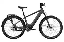 Flyer G1 Goroc TR 7.33 - 800 Wh - 29 Zoll - Diamant - 2026