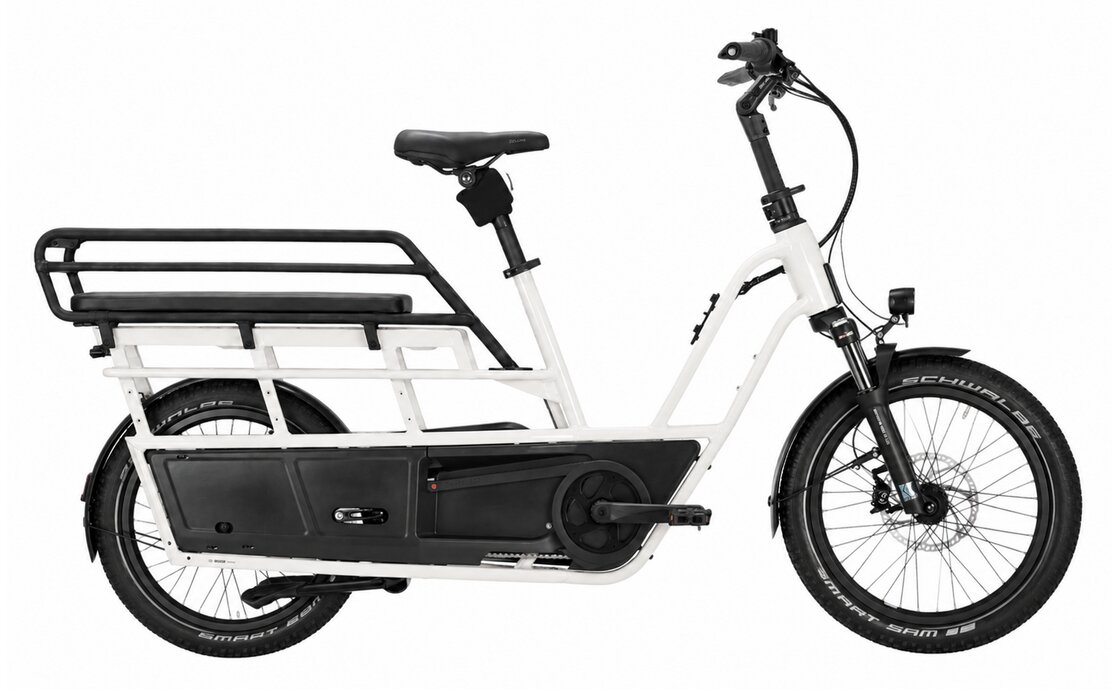 Kettler Flair L-N + Passenger Kit - 545 Wh - 20 Zoll - Longtail - 2027