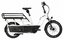 Kettler Flair L-N + Passenger Kit - 545 Wh - 20 Zoll - Longtail - 2027