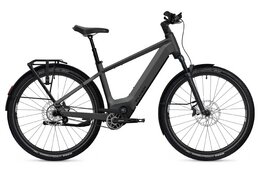 Flyer G1 Goroc TR 7.33 - 800 Wh - 29 Zoll - Diamant - 2026