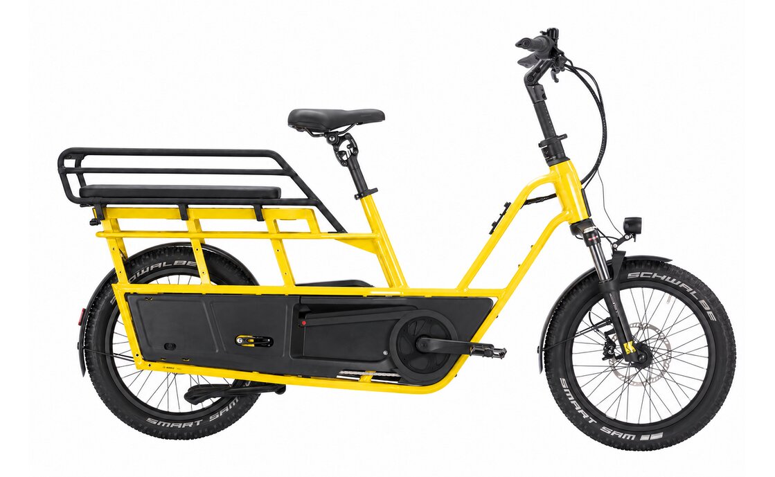 Kettler Flair L-N + Passenger Kit - 545 Wh - 20 Zoll - Longtail - 2027