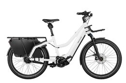 Unisex - E-Lastenrad - Riese und Müller Multicharger2 Mixte GT vario - 750 Wh - 26 Zoll - Longtail
