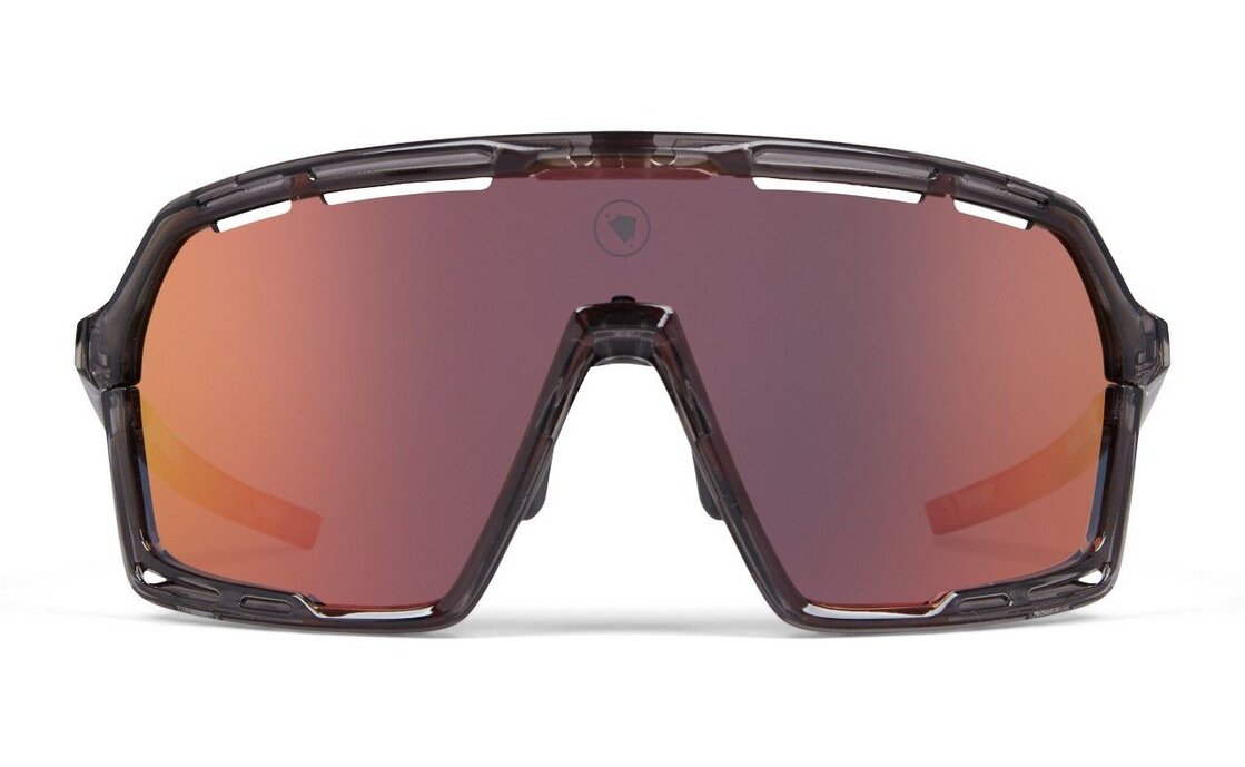 Endura Pro SL Brillenset - Grau