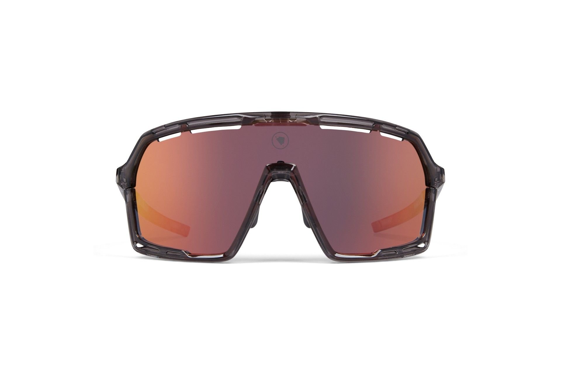 Endura Pro SL Brillenset - Grau